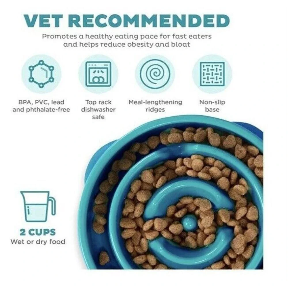 Outward‎ Hound Fun Slow Feeder Dog Bowl Medium Turquoise and Metal water bowl